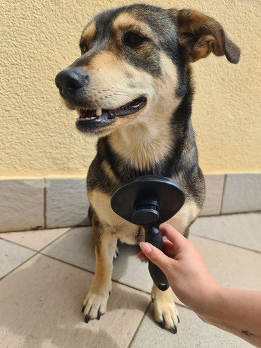 78b16e2204c8766f3e95063df0f91659 78b16e2204c8766f3e95063df0f91659